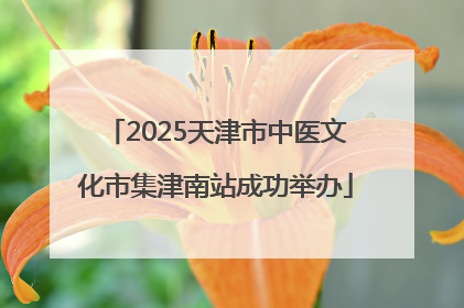2025天津市中医文化市集津南站成功举办