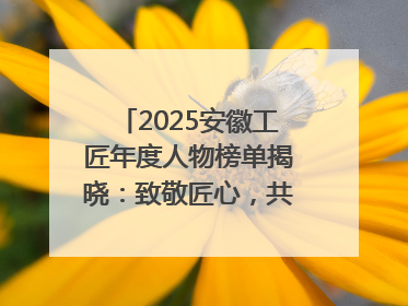 2025安徽工匠年度人物榜单揭晓：致敬匠心，共谱创新华章