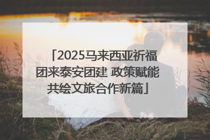 2025马来西亚祈福团来泰安团建 政策赋能共绘文旅合作新篇
