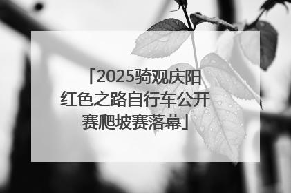 2025骑观庆阳红色之路自行车公开赛爬坡赛落幕