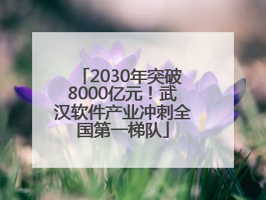 2030年突破8000亿元！武汉软件产业冲刺全国第一梯队
