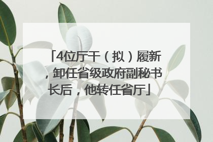 4位厅干（拟）履新，卸任省级政府副秘书长后，他转任省厅