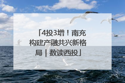 4投3增！南充构建产融共兴新格局｜数读西投