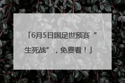6月5日国足世预赛“生死战”，免费看！