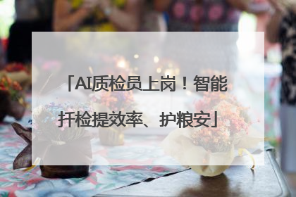 AI质检员上岗！智能扦检提效率、护粮安