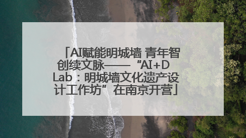 AI赋能明城墙 青年智创续文脉——“AI+D Lab：明城墙文化遗产设计工作坊”在南京开营