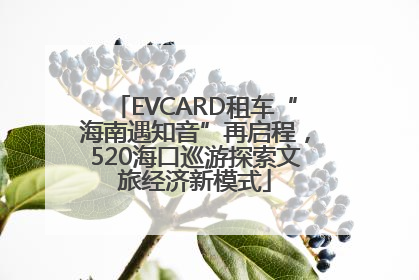 EVCARD租车“海南遇知音”再启程，520海口巡游探索文旅经济新模式