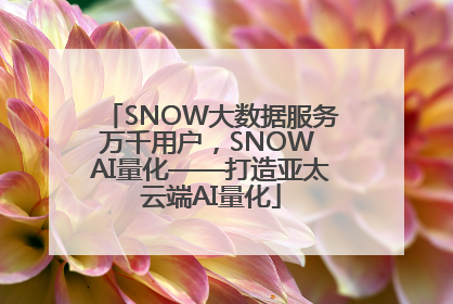 SNOW大数据服务万千用户，SNOW AI量化——打造亚太云端AI量化